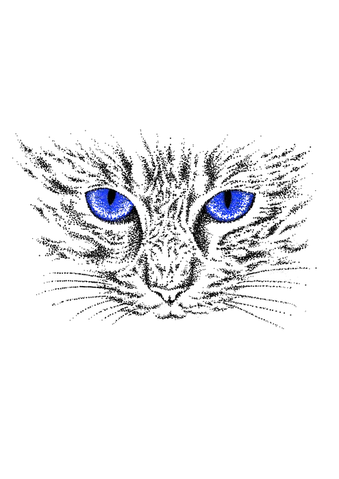 Katze – Wannado von Ashima